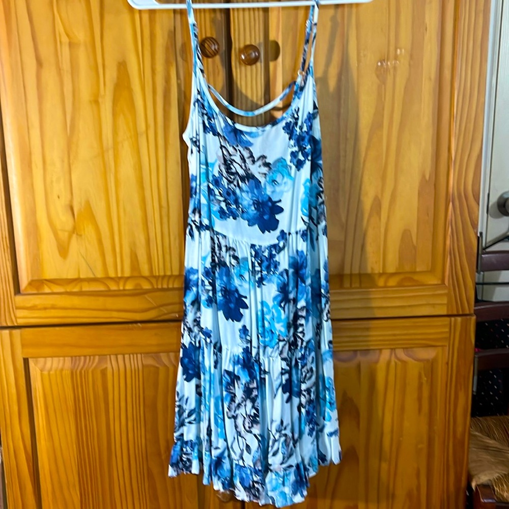 Blue and white rose dress